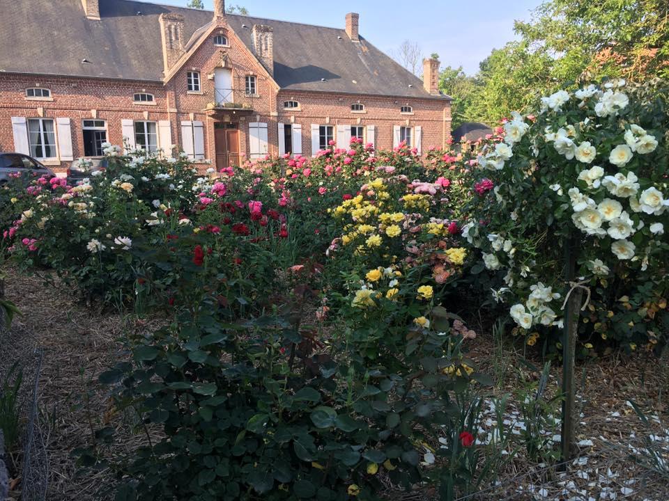 Bed and Breakfast Domaine Des Celestins Bernay-en-Ponthieu Экстерьер фото